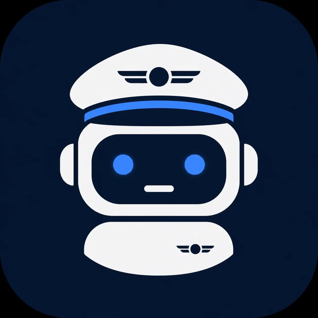 DummysCoPilot avatar